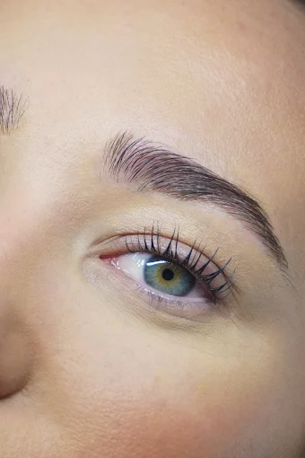 Profile view of a laminated brow with the hairs brushed up, over a lifted lash line.